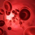 bulk email senderYo galera! Fiquei sabendo pelo nosso bom Nerdmaster, o Jovem Nerd que hoje é o dia do doador de sangue. Na verdade nem sabia da existência dessa data,...