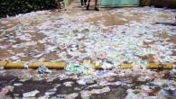bulk email senderGalera, esse não é um post de guia, nem de explicações… Este é um post de reclamação, puro e simples. Não sei vocês, mas o dia de hj...
